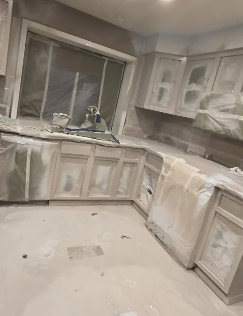 imgi_37_WhatsApp-Image-2025-02-03-at-11.28.54-AM-1-1